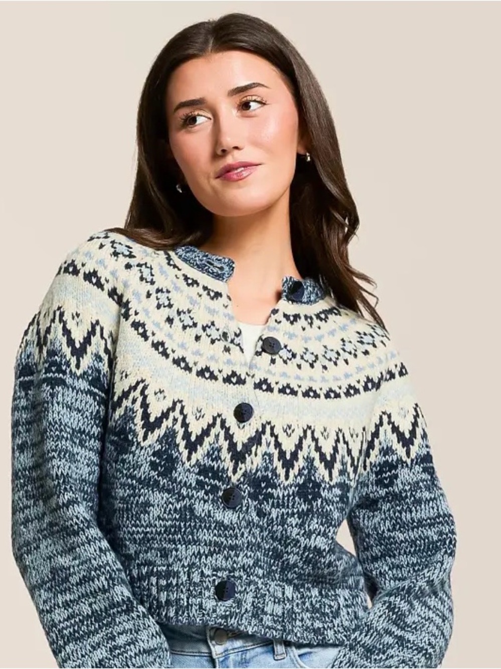 Z Supply Blue and Cream Fair Isle Knit Button-Up Sweater
